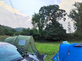 The site