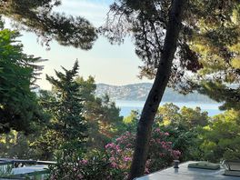 Morning view