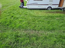 Long grass muddy