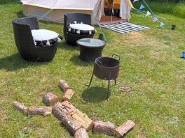 Arty arrangement of logs 😁