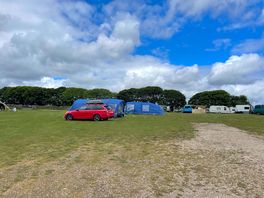 Another pic of the site.