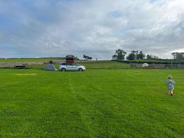Pitch with animals behind