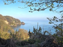 View from site