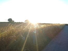 Sunsets