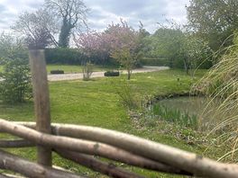 Pond view