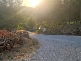 Bonito amanecer