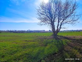Beautiful day