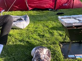 My dog absolutely loved the space, her first time camping! dog friendly was perfect for us