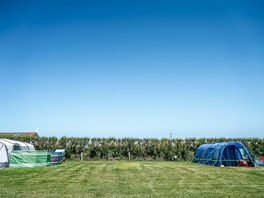 Ample room for tents, vans and cars