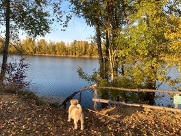 The dog enjoyed the view too!