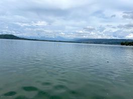 Lakeside view