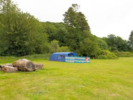 Grass tent or motorhome pitches with electric hook-up