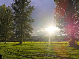 Campsite view 💖