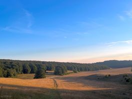 A view from the campsite.