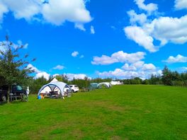 Spacious grass pitches overlooking the vineyard