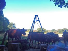 Lovely visitors