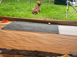 Bell tent glamping experience.