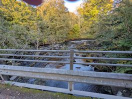 Bridge