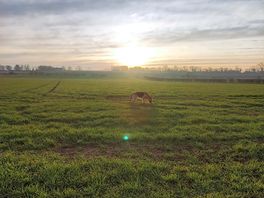 Nice sunrise