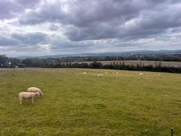 Our neighbours