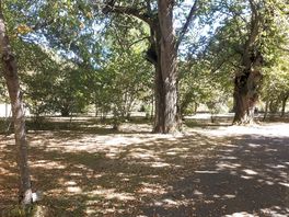 Shaded pitches