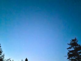 Can you see the bats?