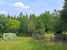 My tent