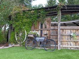 Rustic and peaceful scenery.
