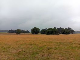 View from tent