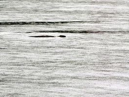 Otters