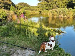 Fishing lakes