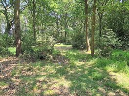 Stoke poges wild camping