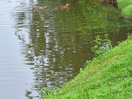 Riverside