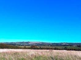 The view from the tent
