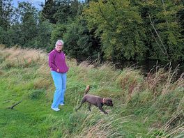 Dog walking field along the river