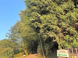 Site