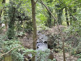 Stream at the camp