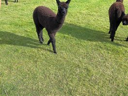 Our friendly neighbours