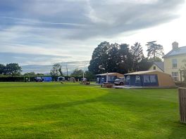 View across the pine field