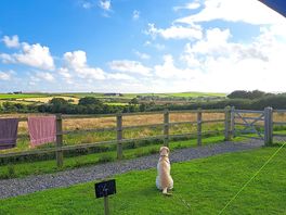 View from out pitch, out towards the paddock and beyond.