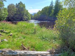The river adjacent to campsite