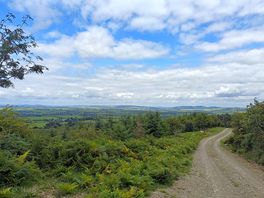 Stunning views