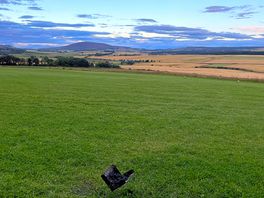 Peaceful view