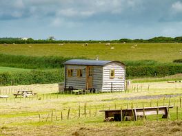 Tamar shepherd's hut