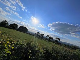 Amazing views