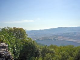 Vista