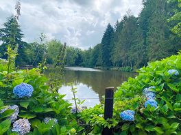 Over the large fishing lake