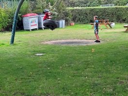 Tyre swing