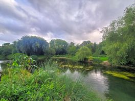 Nature at it best
