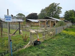 Farm